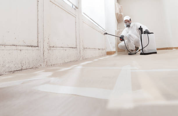 24/7 Emergency Black Mold Remediation experts in Bridgeport, WA