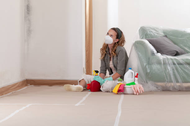 Reliable Black Mold Remediation contractor in Bridgeport, WA by Car Mold Remediation
